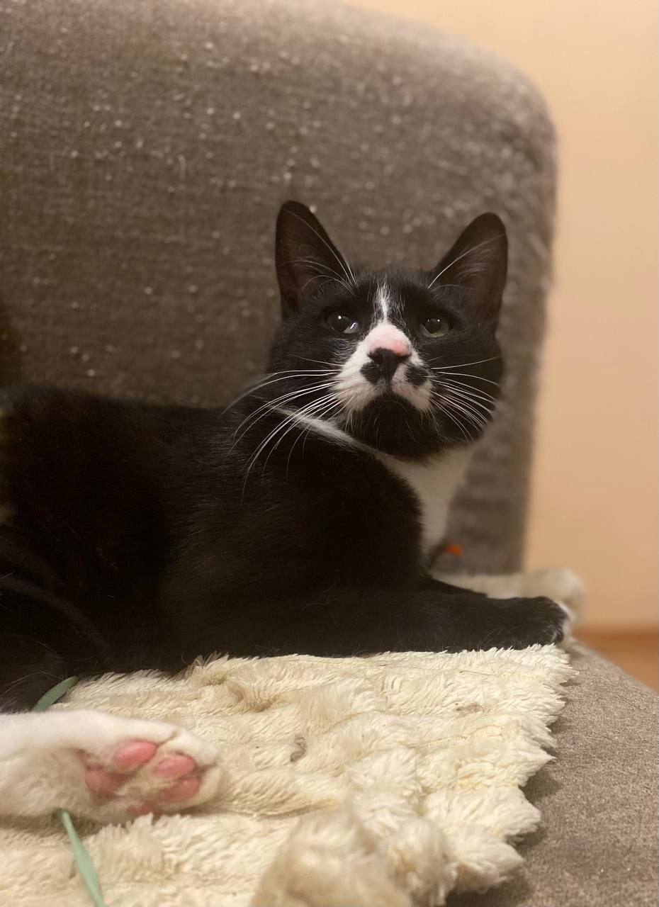 Наш ежемесячный пост-пристройство