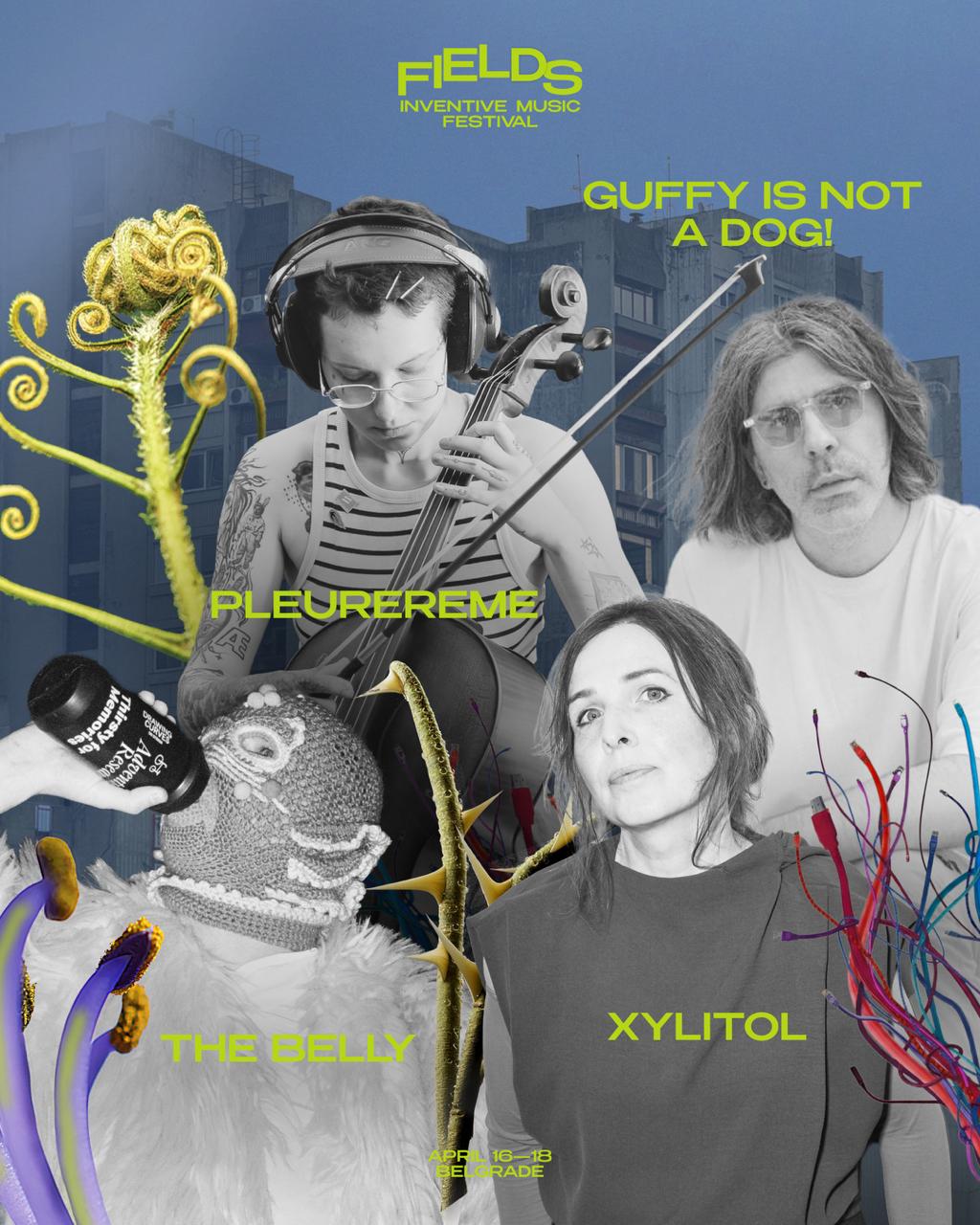 Анонсируем следующую четверку артистов на Fields 2026.