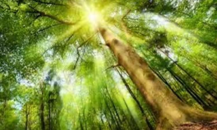 SLOW TOUCH : Vom Tun ins Sein !