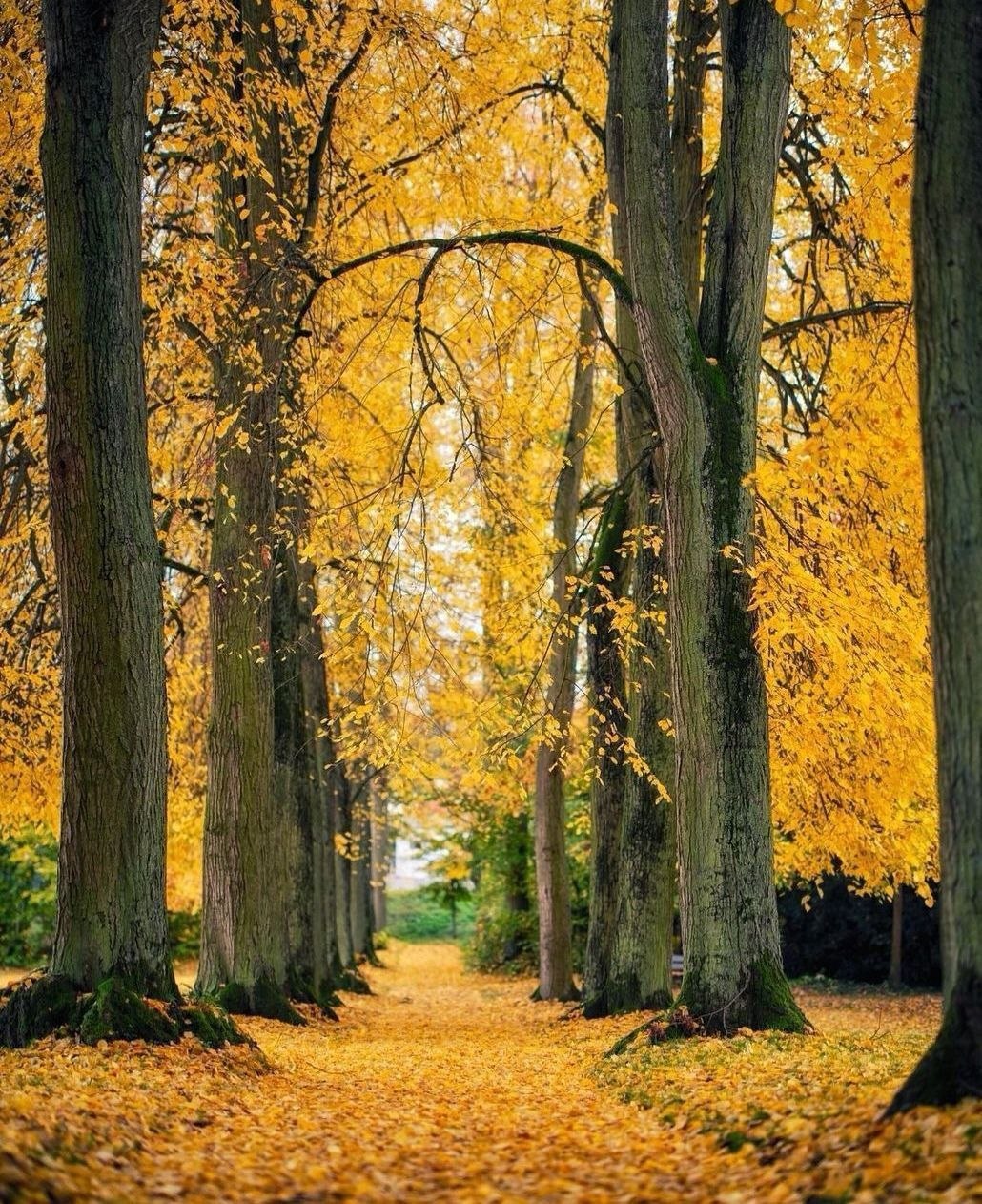 Silent Retreat ⎊◈⋘