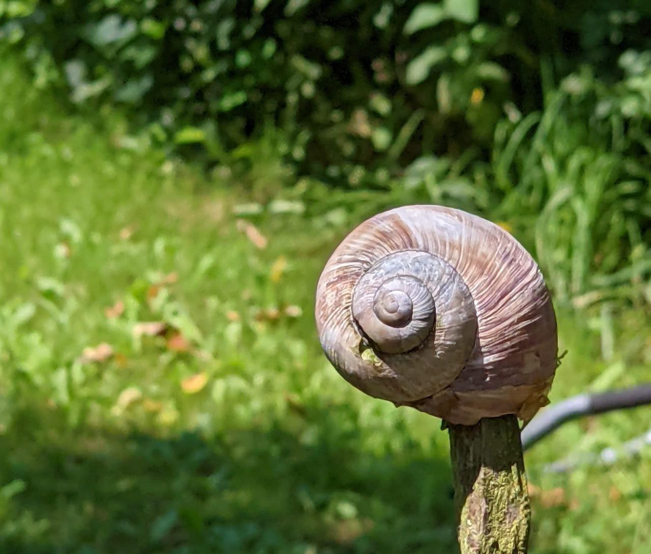 Verkörpertes Gebet an das Leben