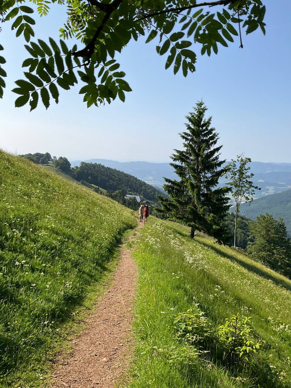 Medizinwanderung, die kleine Form der Visionssuche