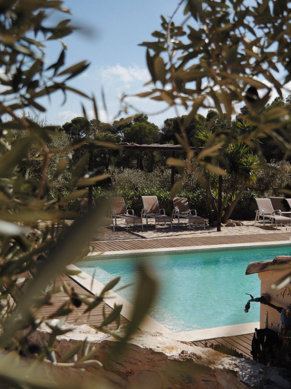 Die Seele spricht selten laut. Aber wenn Du still wirst, beginnt sie zu führen.