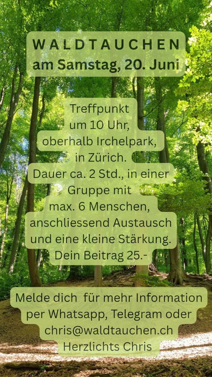 WALDTAUCHEN