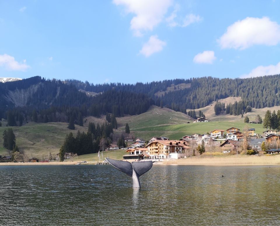 Ein Geschenk zur 🌟Tag und Nachtgleiche🌟