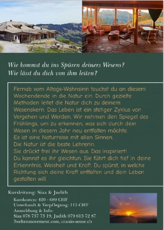 Wie kommst du ins Spüren deiners Wesens?