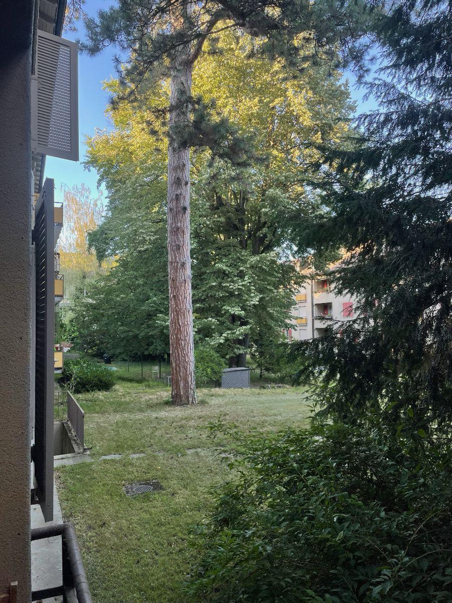 Zimmer in Basel für August zu vermieten - 610 Fr. 🐝
